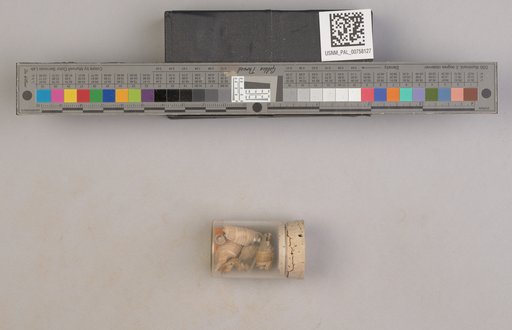 NSF ADBC EPICC TCN