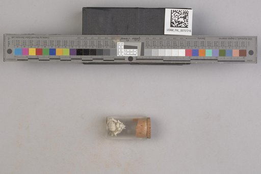 NSF ADBC EPICC TCN