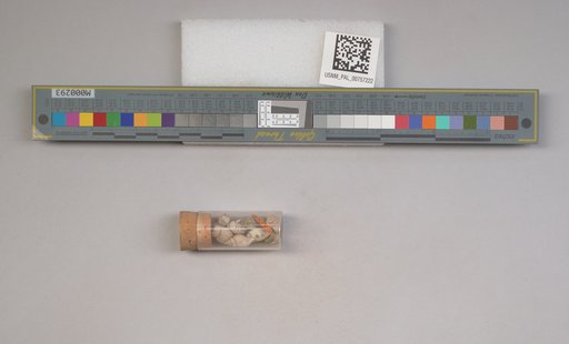 NSF ADBC EPICC TCN