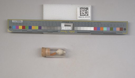 NSF ADBC EPICC TCN