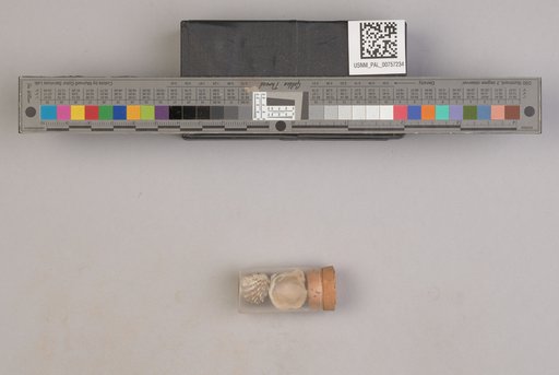 NSF ADBC EPICC TCN