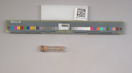 NSF ADBC EPICC TCN