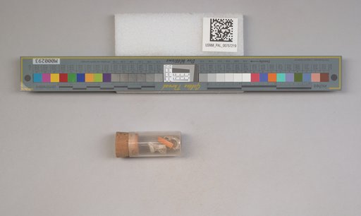 NSF ADBC EPICC TCN