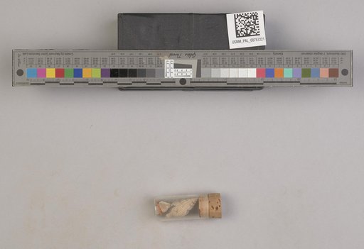 NSF ADBC EPICC TCN