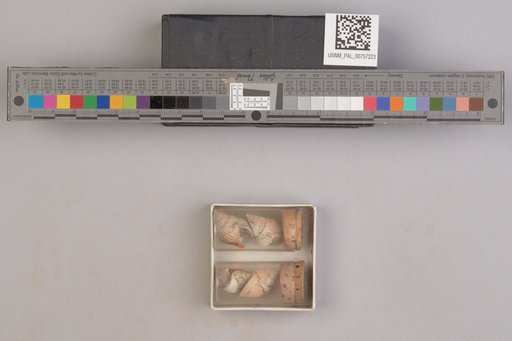 NSF ADBC EPICC TCN