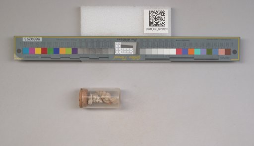NSF ADBC EPICC TCN