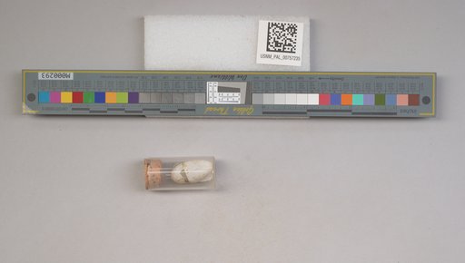 NSF ADBC EPICC TCN