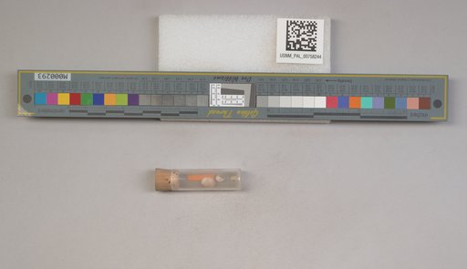 NSF ADBC EPICC TCN