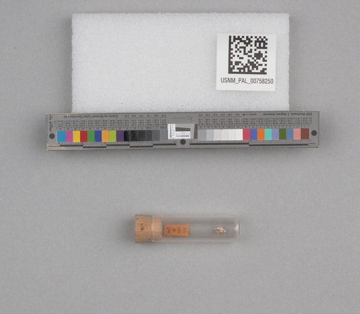 NSF ADBC EPICC TCN
