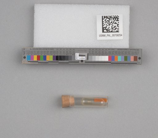 NSF ADBC EPICC TCN