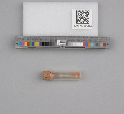 NSF ADBC EPICC TCN