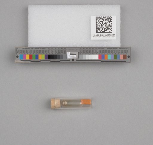 NSF ADBC EPICC TCN