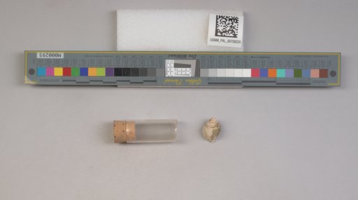 NSF ADBC EPICC TCN