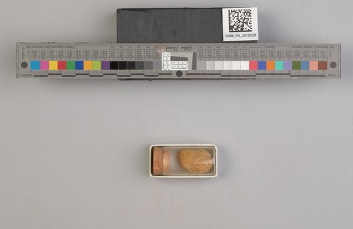 NSF ADBC EPICC TCN
