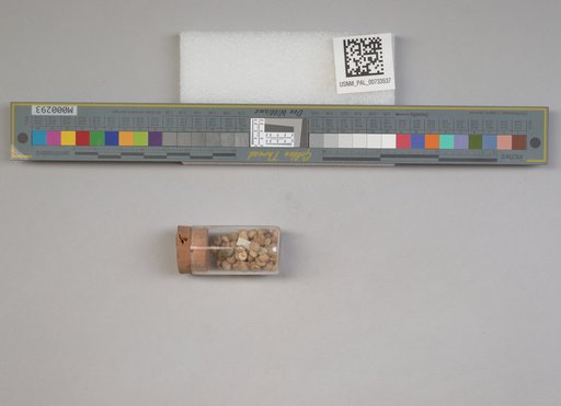NSF ADBC EPICC TCN