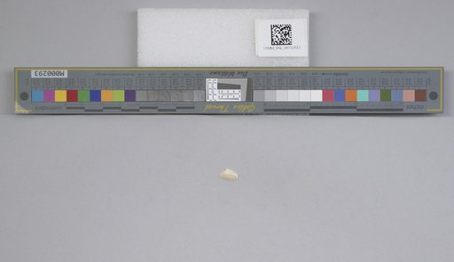 NSF ADBC EPICC TCN
