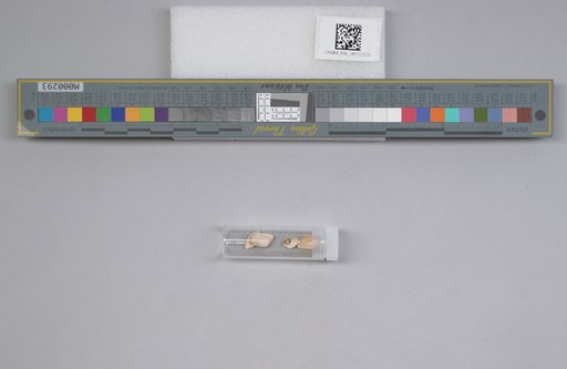 NSF ADBC EPICC TCN