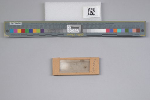 NSF ADBC EPICC TCN