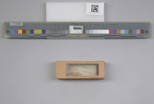 NSF ADBC EPICC TCN