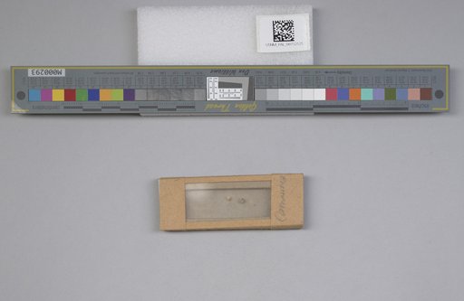 NSF ADBC EPICC TCN