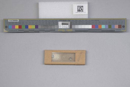 NSF ADBC EPICC TCN