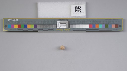NSF ADBC EPICC TCN