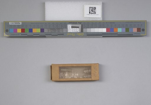 NSF ADBC EPICC TCN