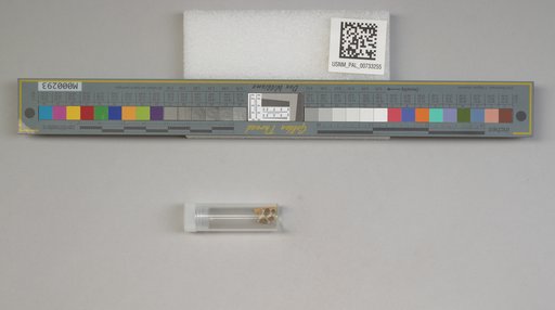 NSF ADBC EPICC TCN