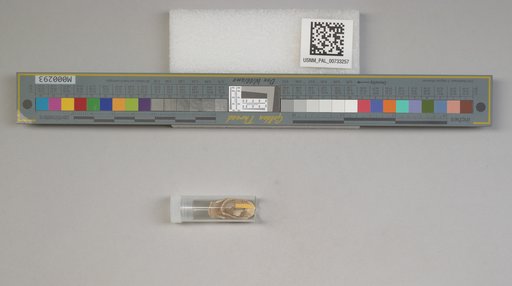 NSF ADBC EPICC TCN
