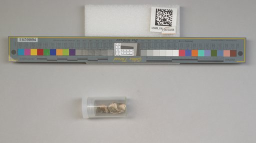 NSF ADBC EPICC TCN