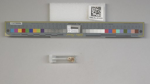 NSF ADBC EPICC TCN