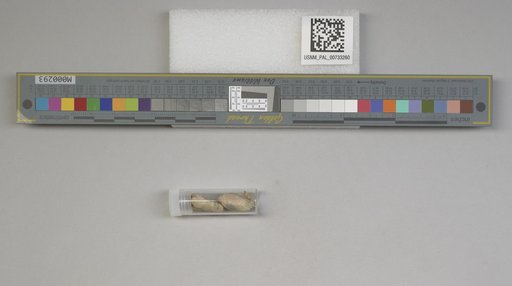 NSF ADBC EPICC TCN