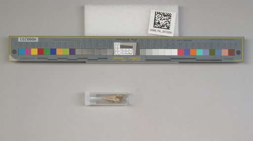 NSF ADBC EPICC TCN