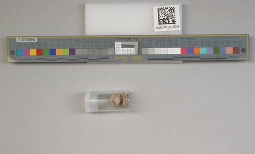 NSF ADBC EPICC TCN