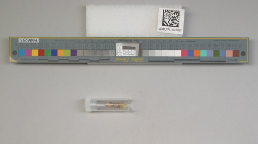 NSF ADBC EPICC TCN