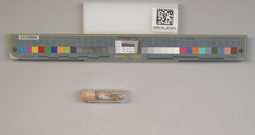 NSF ADBC EPICC TCN