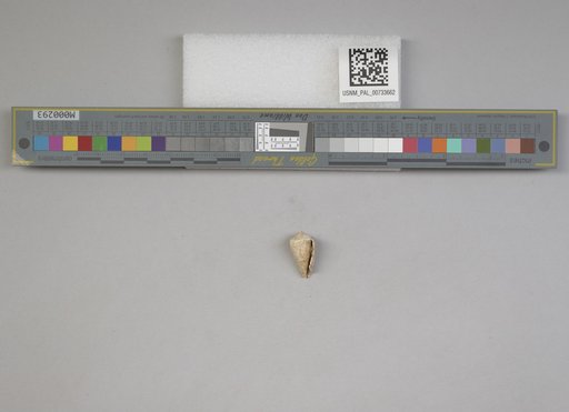 NSF ADBC EPICC TCN