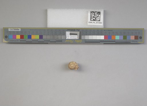 NSF ADBC EPICC TCN