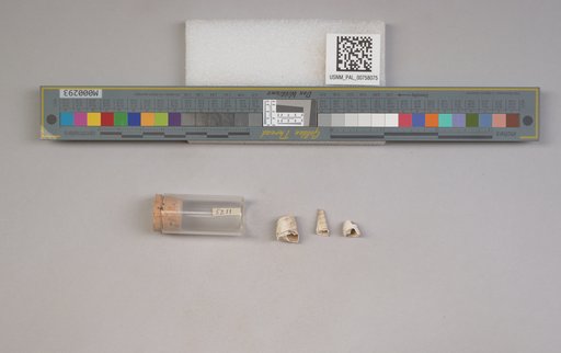 NSF ADBC EPICC TCN