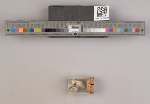 NSF ADBC EPICC TCN