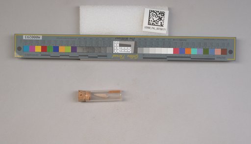 NSF ADBC EPICC TCN