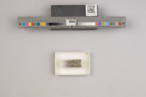NSF ADBC EPICC TCN