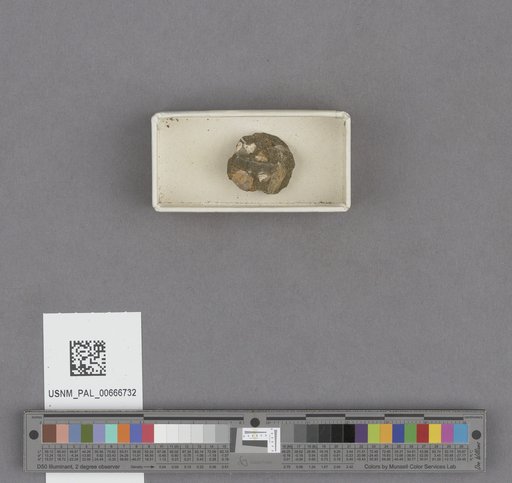 NSF ADBC EPICC TCN