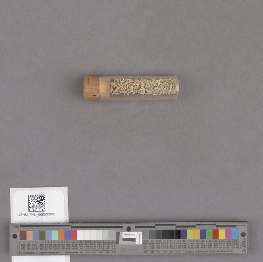 NSF ADBC EPICC TCN