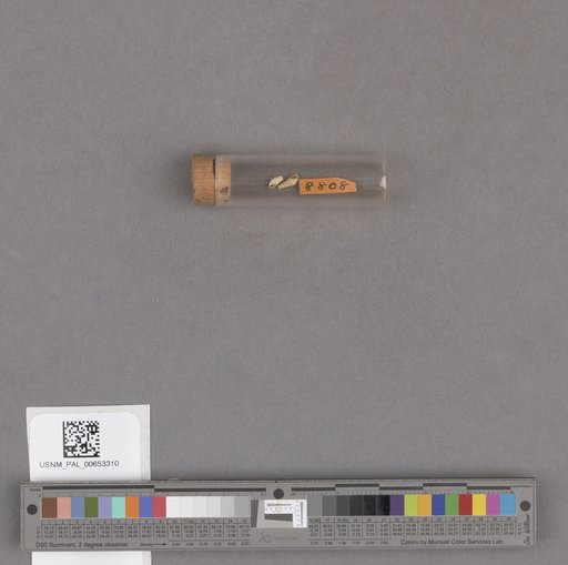 NSF ADBC EPICC TCN
