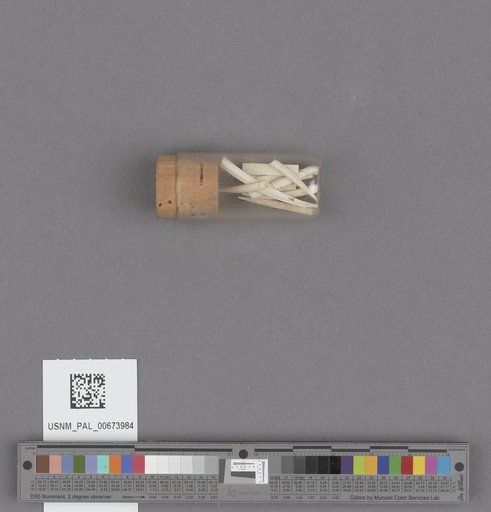NSF ADBC EPICC TCN