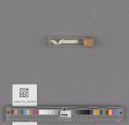 NSF ADBC EPICC TCN