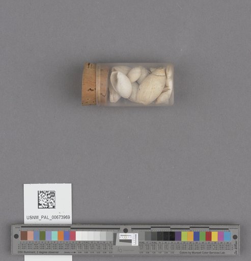 NSF ADBC EPICC TCN