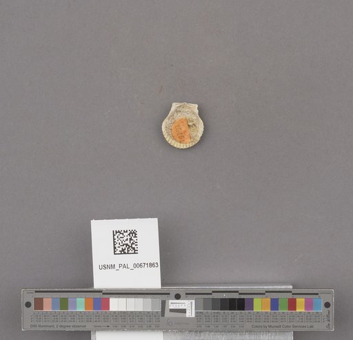 NSF ADBC EPICC TCN