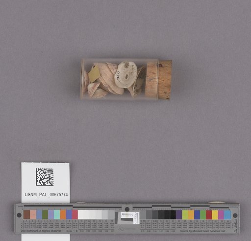 NSF ADBC EPICC TCN
